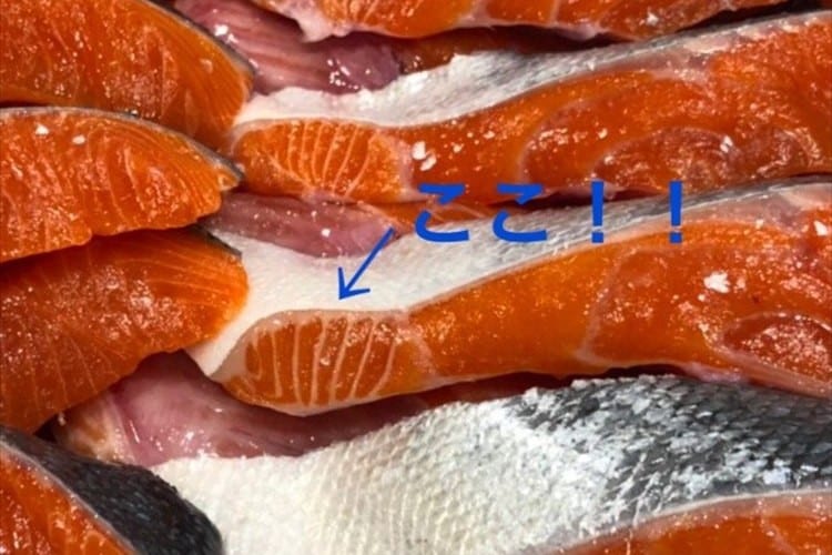 知らない人が多い？ここが鮭の大トロ。この白い筋を見つけたら即購入をオススメ！