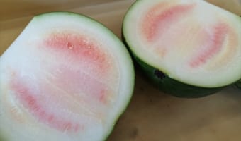 スイカを切ったら白くてがっかりも･･･暑い日にぴったりの激ウマ料理に活用して話題に！