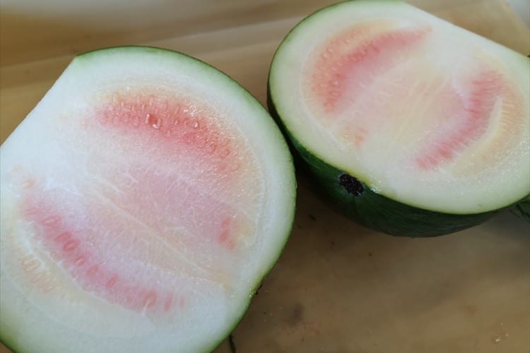 スイカを切ったら白くてがっかりも･･･暑い日にぴったりの激ウマ料理に活用して話題に！