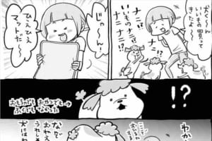 リアクションがあるある(笑) 犬と猫を両方飼ってるとプレゼントはずしたって毎日楽しい！