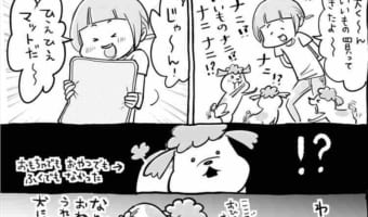 リアクションがあるある(笑) 犬と猫を両方飼ってるとプレゼントはずしたって毎日楽しい!