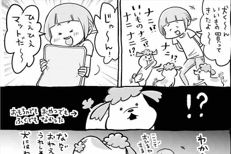 リアクションがあるある(笑) 犬と猫を両方飼ってるとプレゼントはずしたって毎日楽しい！