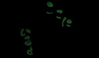 暗闇で出現した謎の文字が怖すぎて絶叫!慌てて旦那を呼んだら正体は・・・