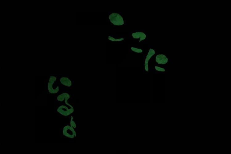 暗闇で出現した謎の文字が怖すぎて絶叫！慌てて旦那を呼んだら正体は･･･