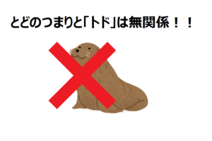 とどのつまりの「とど」は海獣でアシカの仲間「トド」とは関係ない？！ならどこから来たの？？