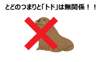 とどのつまりの「とど」は海獣でアシカの仲間「トド」とは関係ない？！ならどこから来たの？？