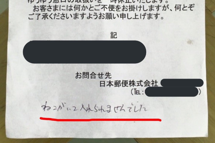 不在票に「猫がいて入れられませんでした」ってどういう事？疑問に思った家主が投函を試したら･･･