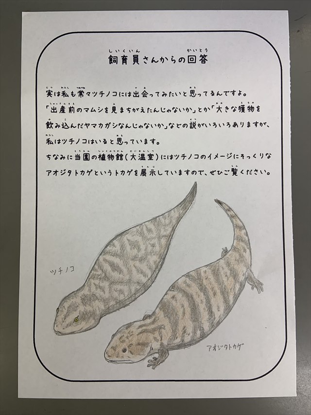 ツチノコはどこにいますか 少年の疑問に対する動物園スタッフの驚きの回答が話題 まさかこれは本物のツチノコでは ガジェット通信 Getnews