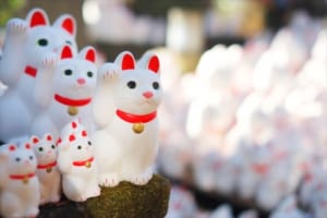 【縁起物】こんなにたくさん？！縁起がいいとされる生き物たちをご紹介！