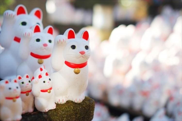 【縁起物】こんなにたくさん？！縁起がいいとされる生き物たちをご紹介！