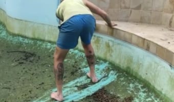 滑るよ？絶対滑るよ！ほらやっぱり！コケの生えたプールで男性に起きた悲劇に撮影者も大爆笑