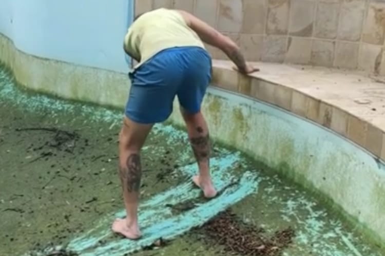 滑るよ？絶対滑るよ！ほらやっぱり！コケの生えたプールで男性に起きた悲劇に撮影者も大爆笑