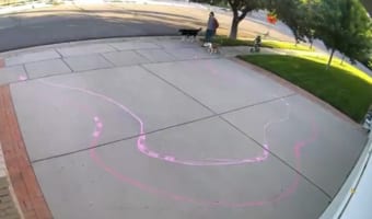 自転車で私有地に入る子どもの姿！チョークでサーキットを描いたら防犯カメラチェックが楽しみに♪