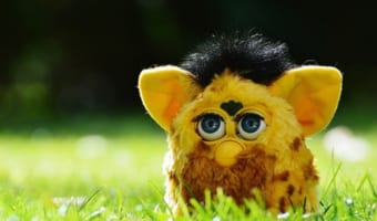 ボロボロでかわいそうな姿になったファービー。お迎え先でのビフォアフ姿のギャップにビックリ!