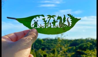 クオリティが凄い!葉っぱ切り絵が素敵!限られた時間の儚い芸術作品