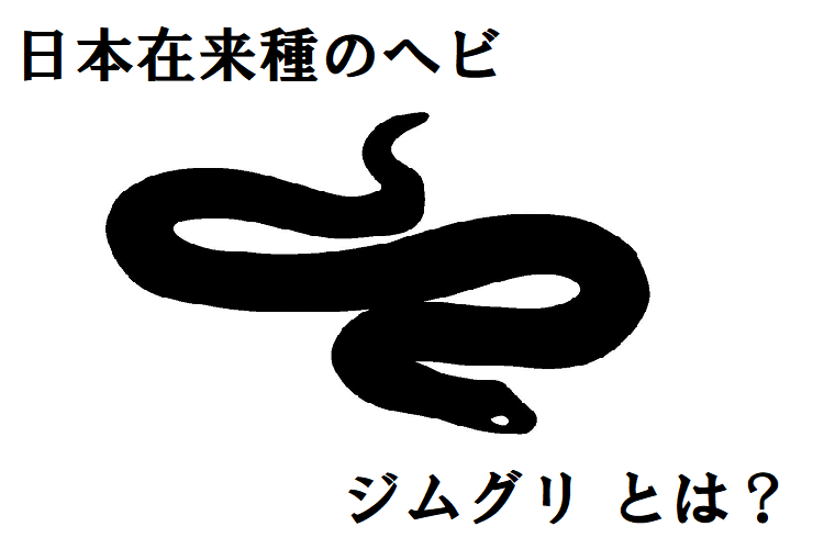 【ジムグリ】子供の頃は赤い派手な体、大人になるとシックな体色に変化する日本の在来ヘビ