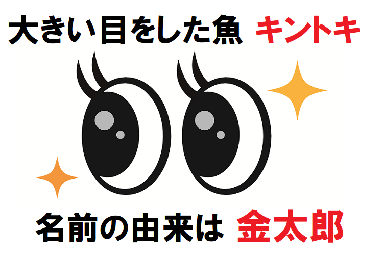 赤い体に大きい目をした「キントキ」、その名前は昔話の「金太郎」から？！