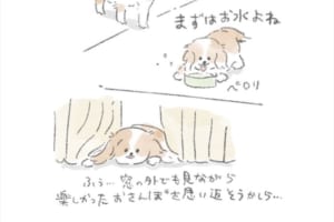 当てはまるパターンはありますか？お散歩後のワンコの様子を描いた漫画に共感の声