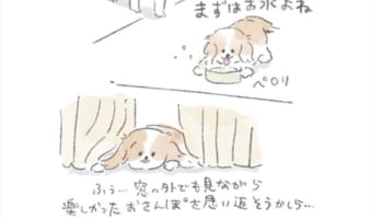 当てはまるパターンはありますか？お散歩後のワンコの様子を描いた漫画に共感の声