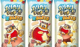 沖縄の伝統菓子ちんすこうを再現した「ガリガリ君リッチ塩ちんすこう」が新発売!