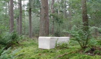 納められた遺体を分解して自然に還す。「キノコの棺桶」が世界中で話題に！