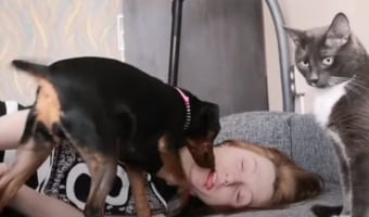 飼い主が意識を失うフリをしたら、ワンコとニャンコのリアクションが違い過ぎる(笑)