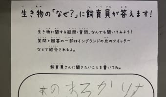 こんなにのびのびやってて大丈夫？子どもの質問に対する飼育員さんの回答が面白い！