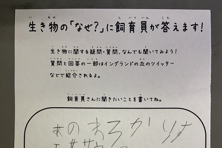 こんなにのびのびやってて大丈夫？子どもの質問に対する飼育員さんの回答が面白い！