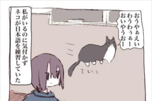 猫は意外とあなどれない！？猫が日本語を練習していた時の話が面白い(笑)