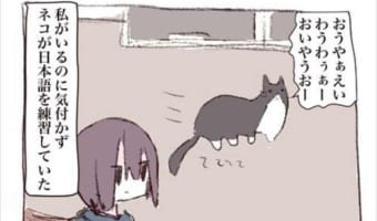 猫は意外とあなどれない!?猫が日本語を練習していた時の話が面白い(笑)