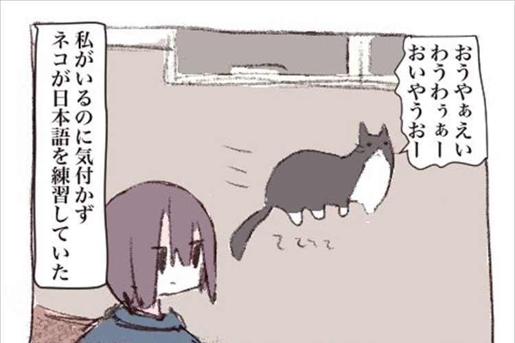 猫は意外とあなどれない！？猫が日本語を練習していた時の話が面白い(笑)