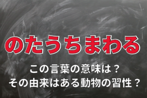 「のたうちまわる」とは転げ回ることを意味するけれど・・、元々転げ回っていたのは人間ではなくあの動物！