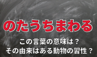 「のたうちまわる」とは転げ回ることを意味するけれど・・、元々転げ回っていたのは人間ではなくあの動物!