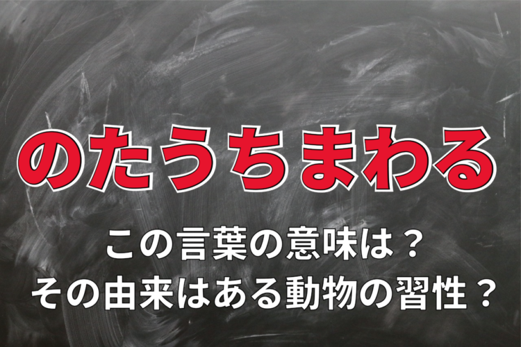 「のたうちまわる」とは転げ回ることを意味するけれど・・、元々転げ回っていたのは人間ではなくあの動物！
