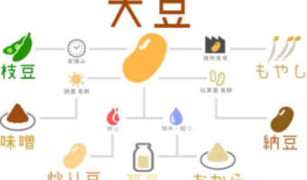 これぞまさしく豆知識!大豆からできるものをまとめたイラストチャートが分かりやすい!