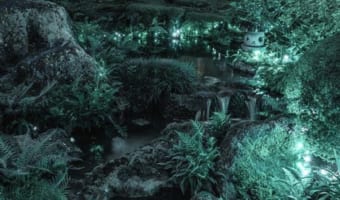 まるでジブリの世界に迷い込んだよう・・・島根・由志園で撮影された写真が幻想的!