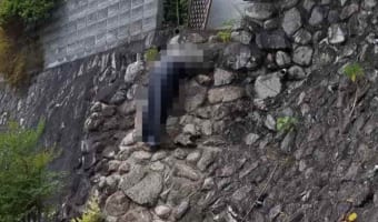 おっちゃんが穴に頭を突っ込んでるのかと思ったら･･･二度見確実な驚きの光景が話題に！