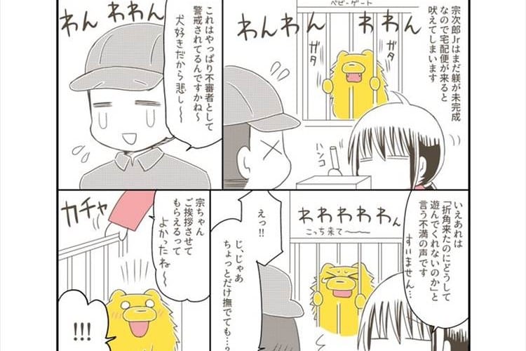 どっちも可愛い(笑) 人が大好きなポメラニアンVS宅配便のお兄さんを描いた漫画が話題に！