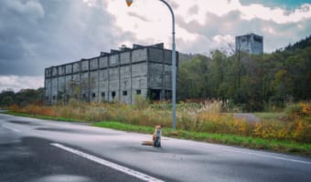 「北海道の廃れた世界」を表現する廃墟とキタキツネの写真がエモい