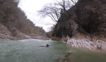 川でカヤックを楽しむグループが急流に流されるシカを決死の救出！【イタリア】