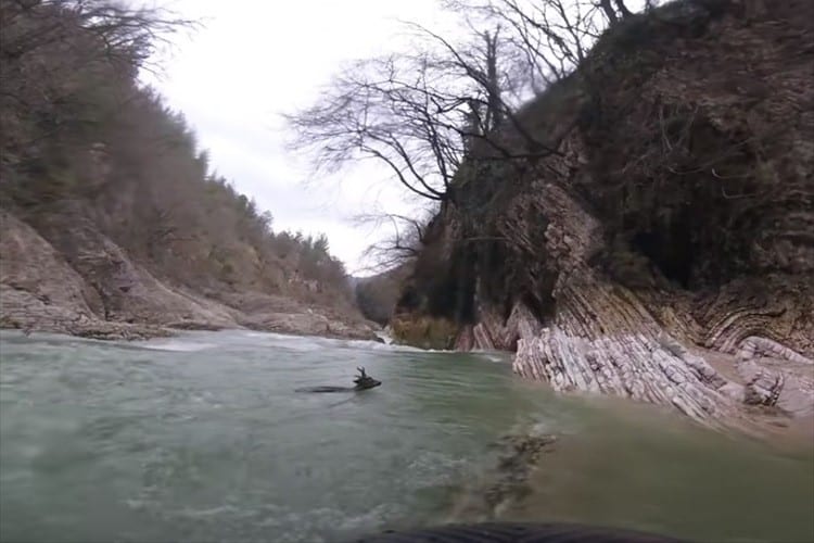 川でカヤックを楽しむグループが急流に流されるシカを決死の救出！【イタリア】