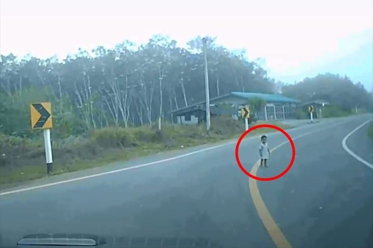 注意を怠らなかった上、やさしさ溢れる対応。ドライバーのあるべき姿を示した男性が話題！