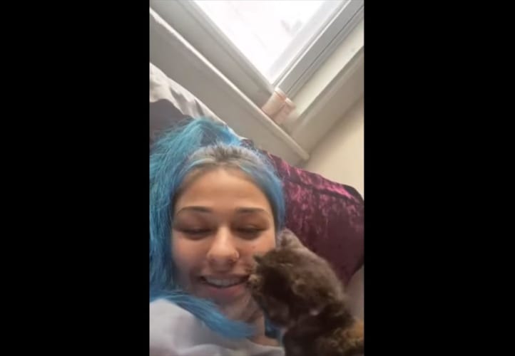 ニャンコは狭い場所を好むけれども、まさかそこに入ろうとするとは思わなかった(笑)