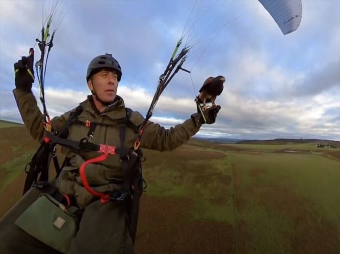 500フィート上空でパラグライダーに乗りながらタカと遊ぶ驚きの光景が話題に！