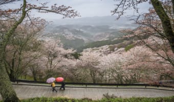 お店などに使われる「まほろば」とはどんな意味がある言葉?どこか特定の場所を指しているの?