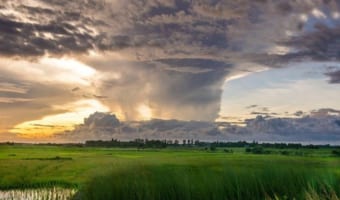 災害の一種、「台風」と「ハリケーン」、「サイクロン」にはどんな違いがある?