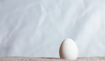 「コロンブスの卵」はどのような経緯から生まれた言葉なの？冒険家のコロンブスとの関係は？