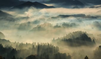 まるで水墨画のような絶景･･･京都府某所で撮影した写真が神秘的だと話題に！