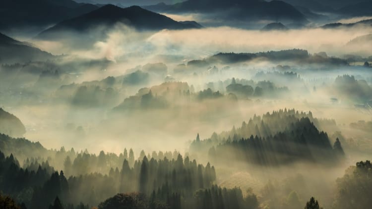 まるで水墨画のような絶景･･･京都府某所で撮影した写真が神秘的だと話題に！