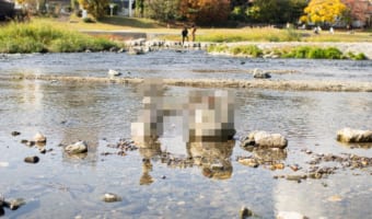 このバランス感覚はヤバい！京都の鴨川で”すごい人”がいた痕跡が目撃され話題に
